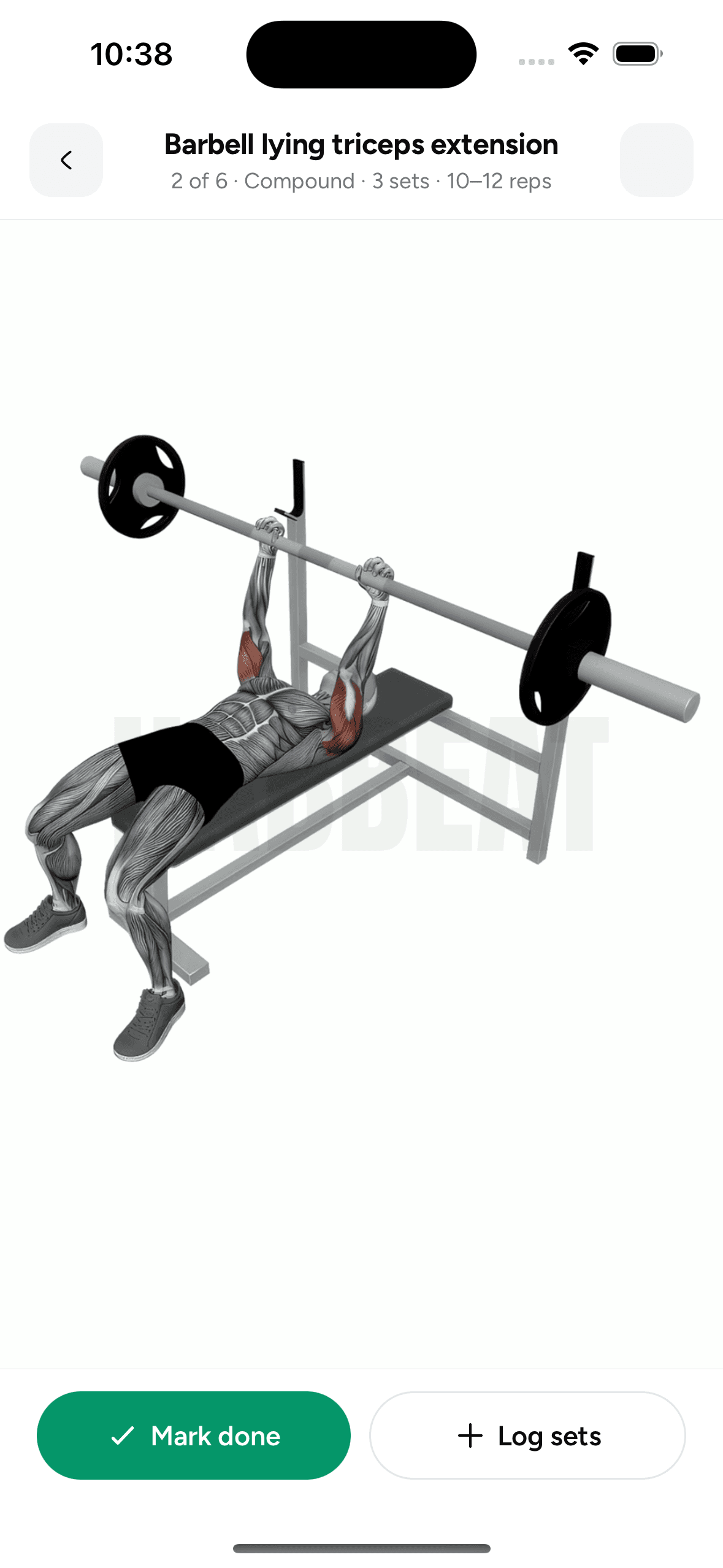 Barbell lying triceps extension with muscle highlight